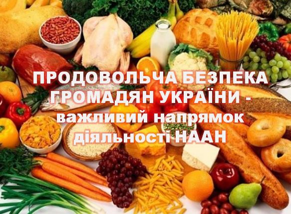 Ярослав Гадзало: Питання продовольчої безпеки громадян – важливий напрямок діяльності наукових установ НААН 